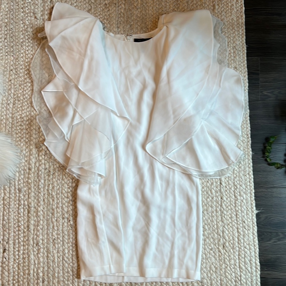 BCBG cocktail dress with statement sleeves
